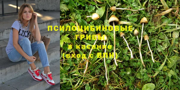 jwh Баксан