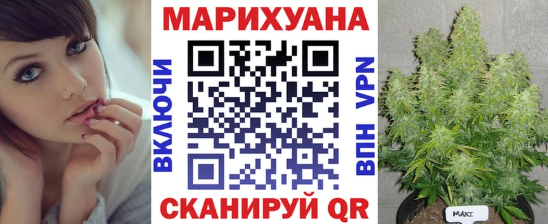 Каннабис сатива Белогорск